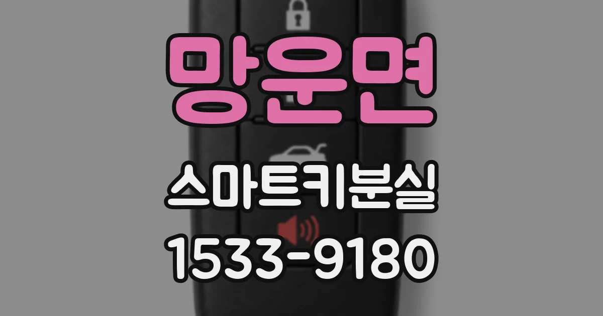 망운면 스마트키분실