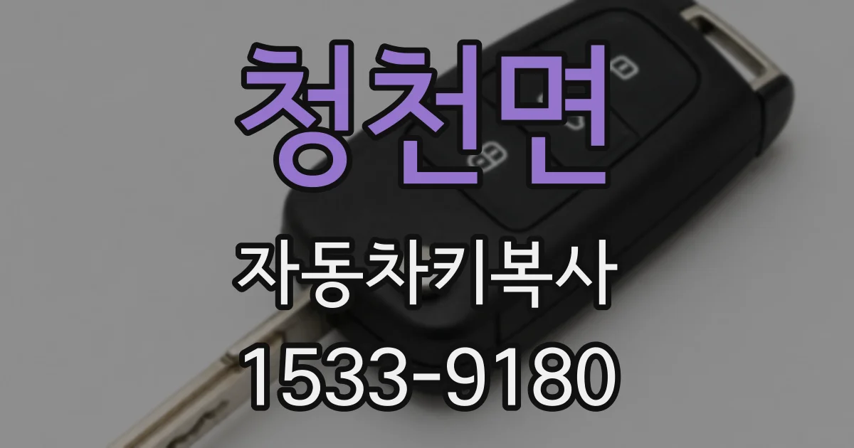 청천면 자동차키복사