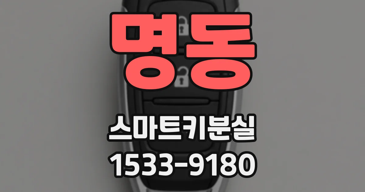 명동 스마트키분실