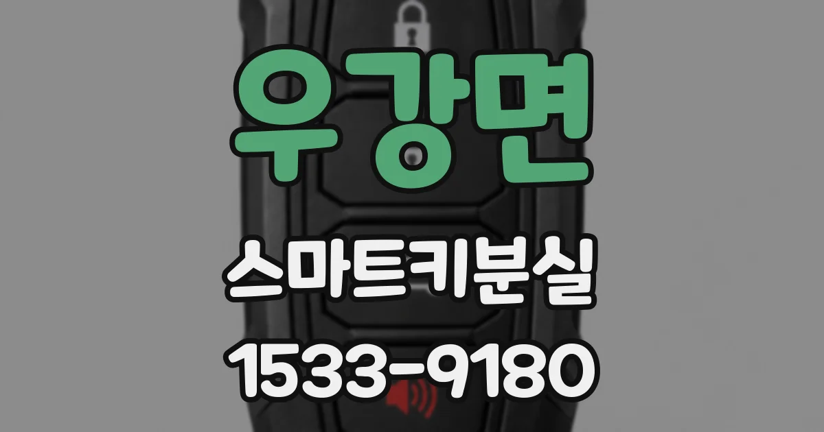 우강면 스마트키분실
