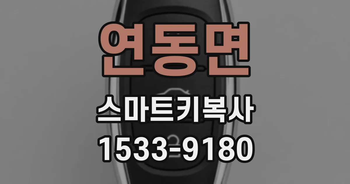 연동면 스마트키복사