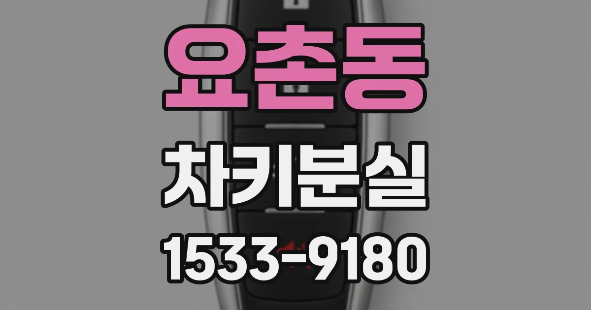 요촌동 차키분실