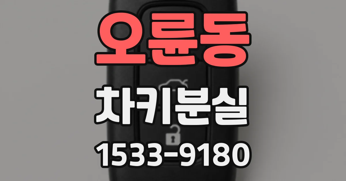 오륜동 차키분실