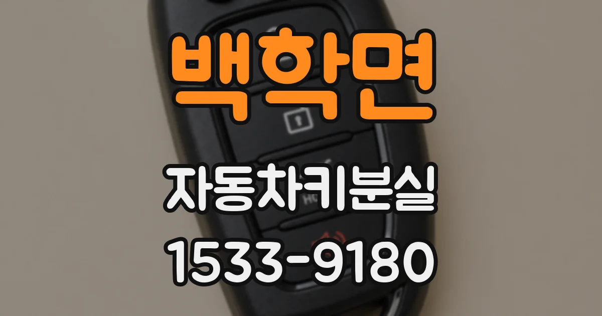 백학면 자동차키분실