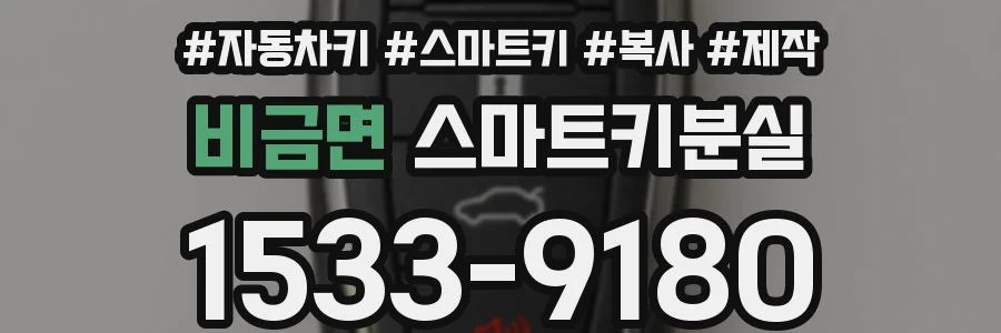 비금면 스마트키분실