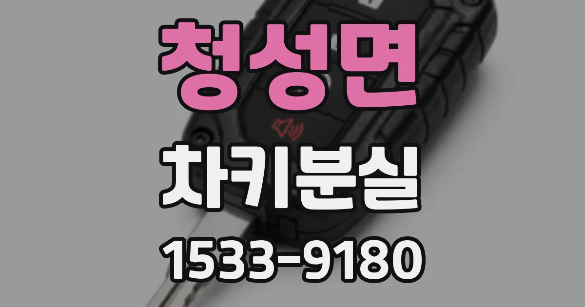 청성면 차키분실