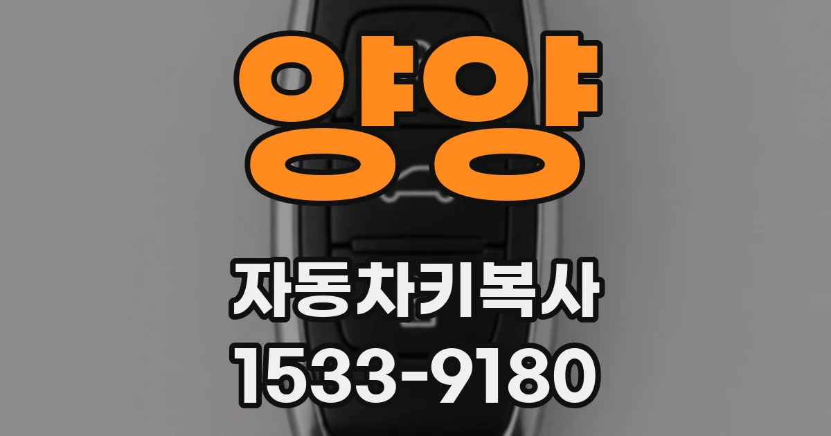 양양 자동차키복사