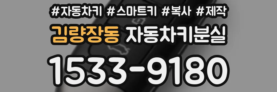 김량장동 자동차키분실