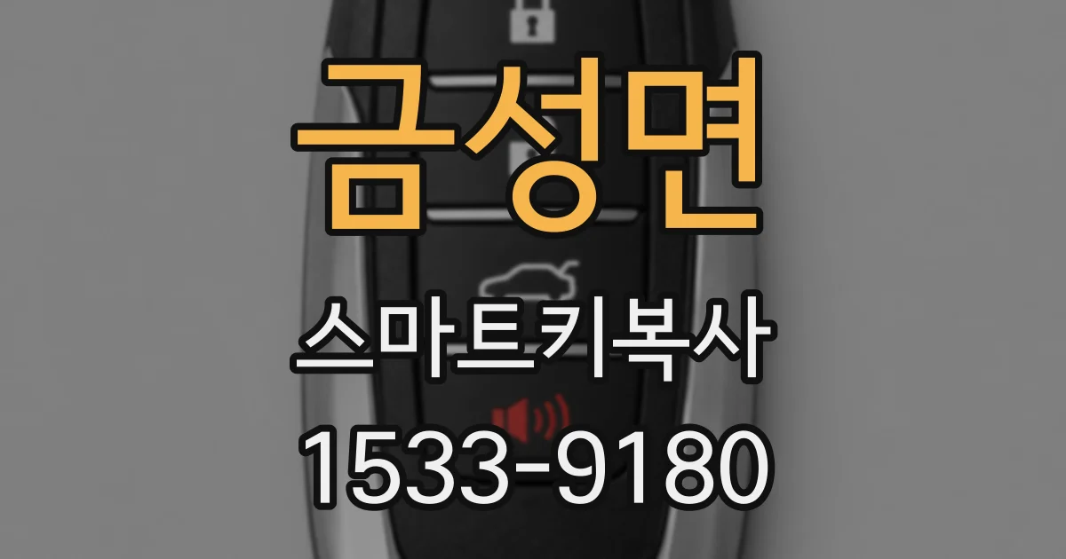금성면 스마트키복사