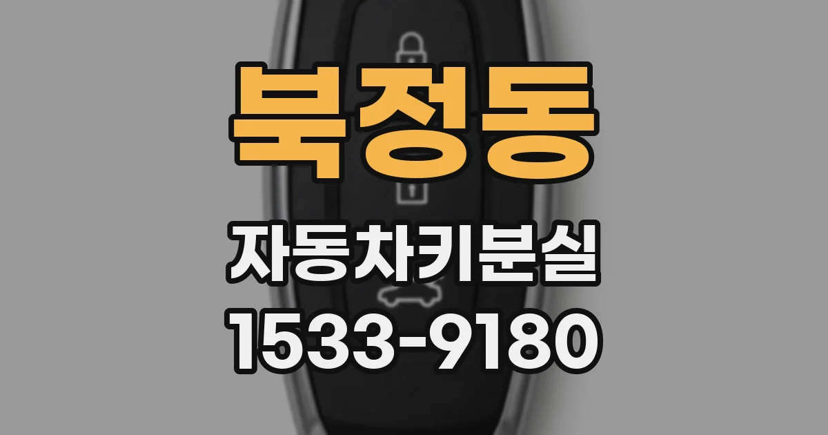북정동 자동차키분실