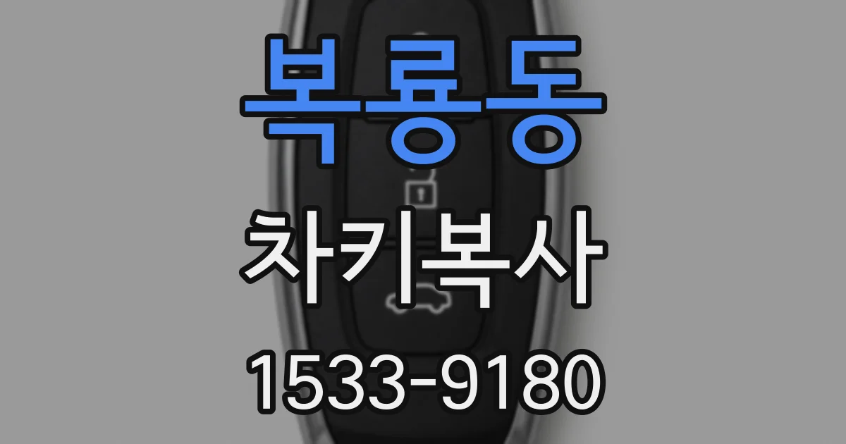 복룡동 차키복사