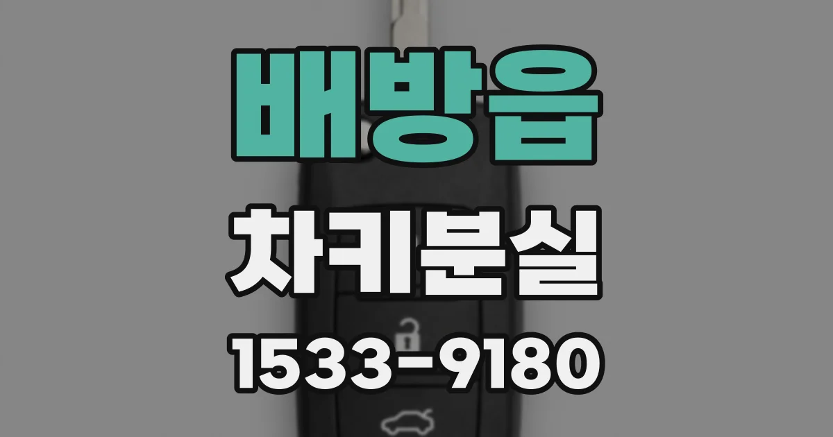 배방읍 차키분실