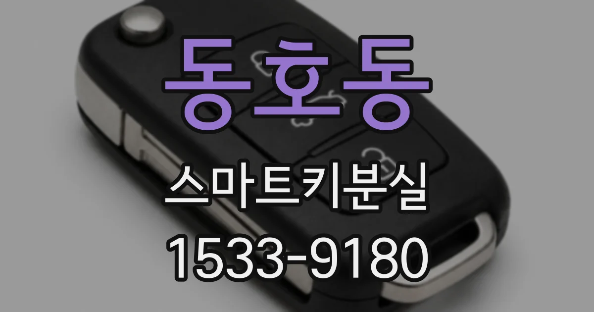 동호동 스마트키분실