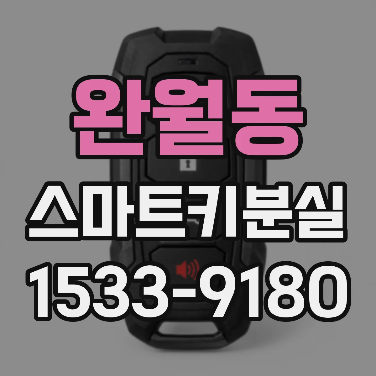 완월동 스마트키분실