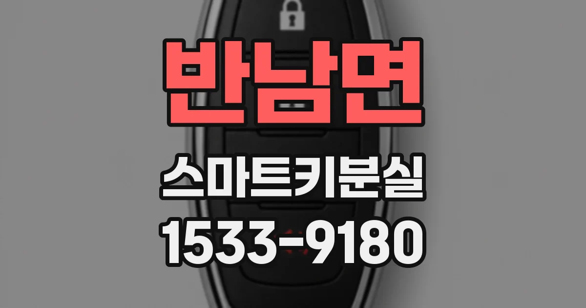 반남면 스마트키분실
