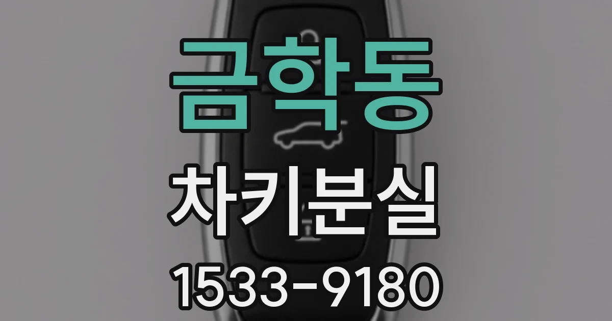 금학동 차키분실