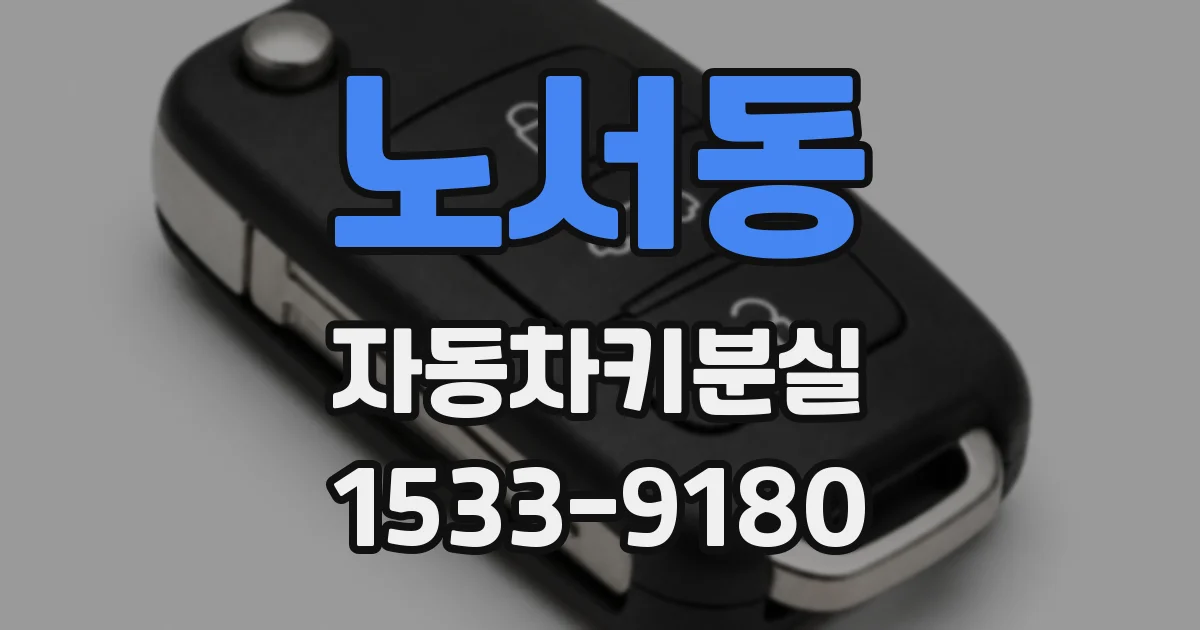 노서동 자동차키분실