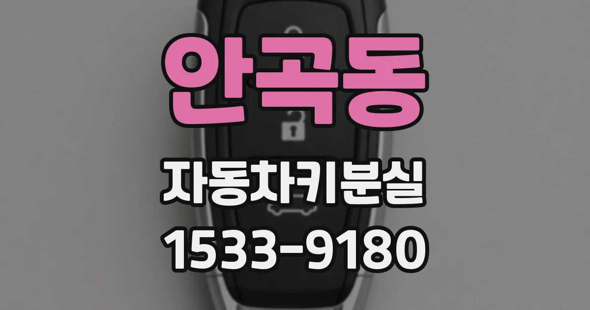 안곡동 자동차키분실