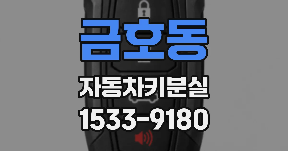 금호동 자동차키분실
