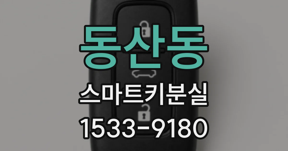 동산동 스마트키분실