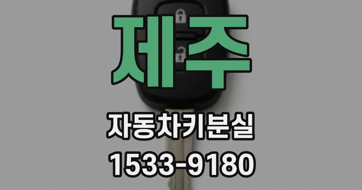 제주 자동차키분실