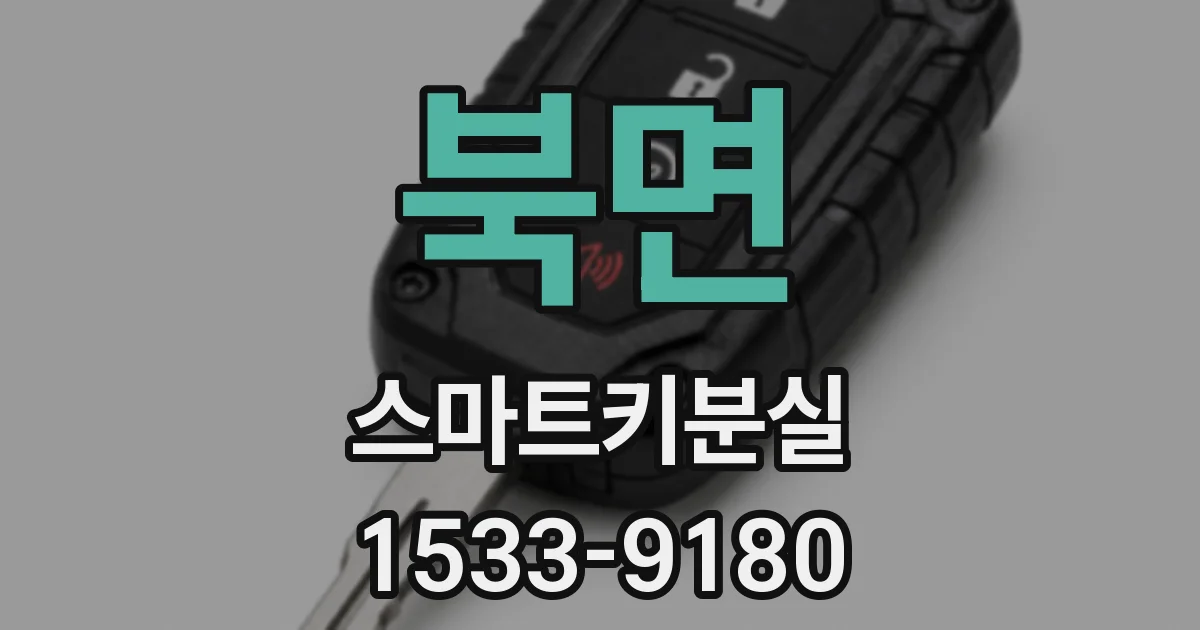 북면 스마트키분실