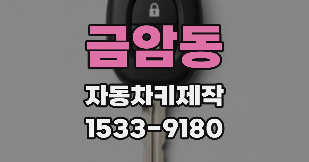금암동 자동차키제작