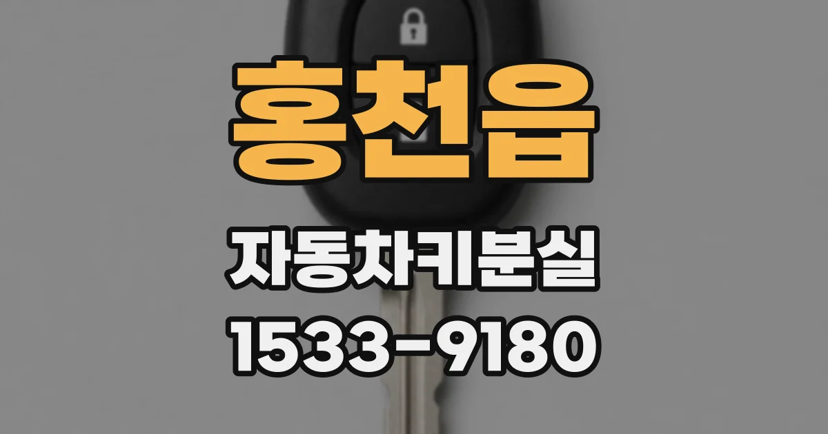 홍천읍 자동차키분실