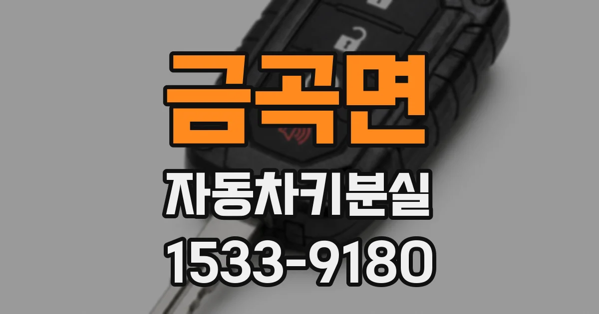 금곡면 자동차키분실
