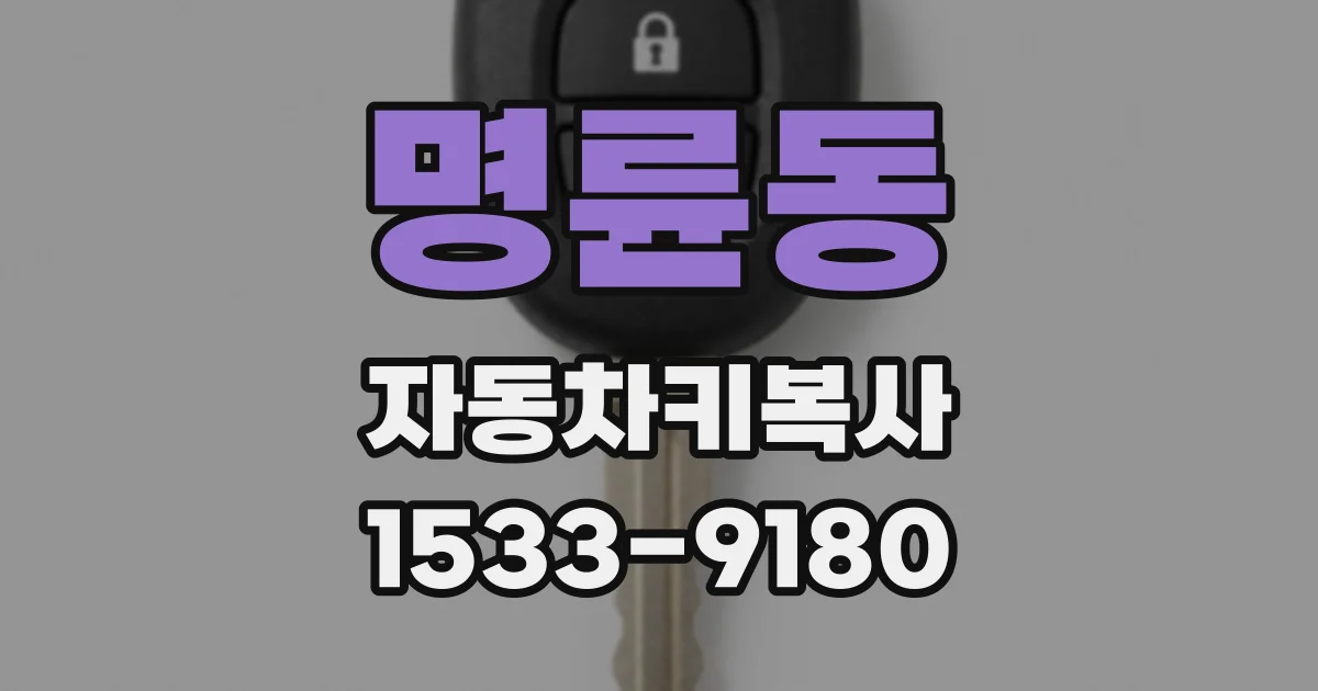 명륜동 자동차키복사