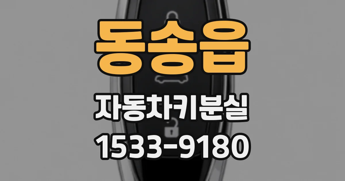동송읍 자동차키분실