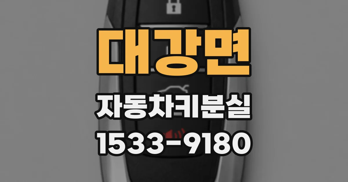 대강면 자동차키분실