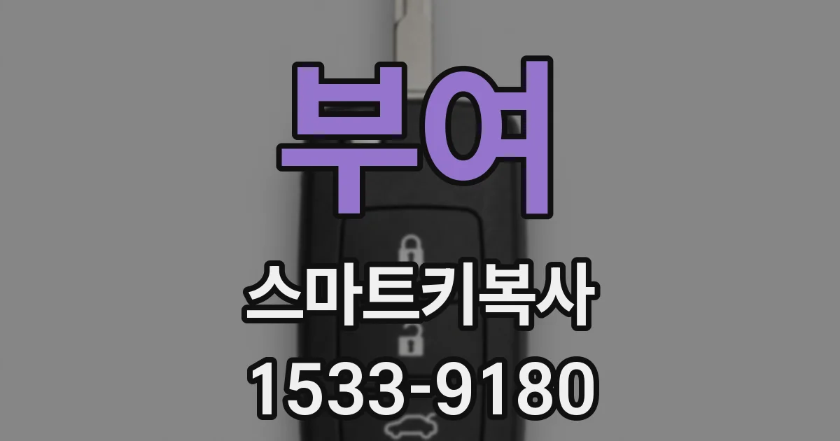 부여 스마트키복사