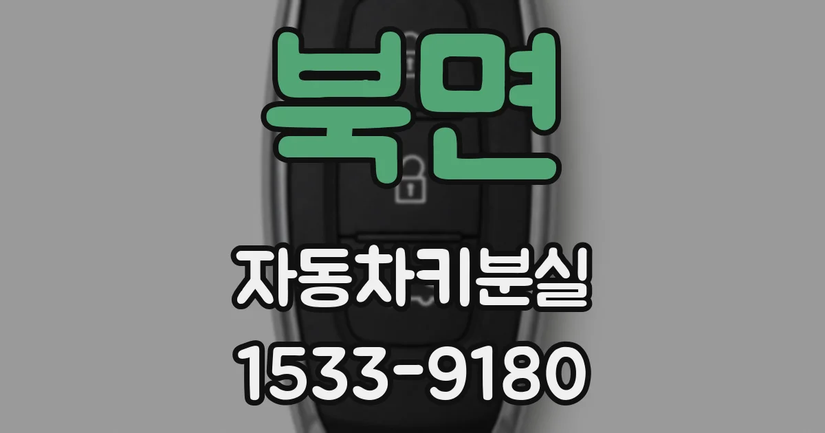북면 자동차키분실