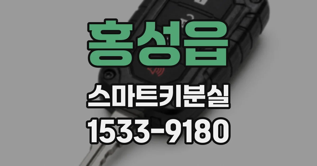홍성읍 스마트키분실