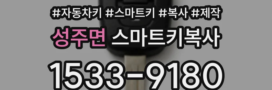 성주면 스마트키복사