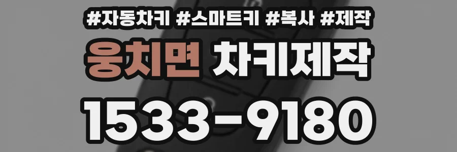 웅치면 차키제작