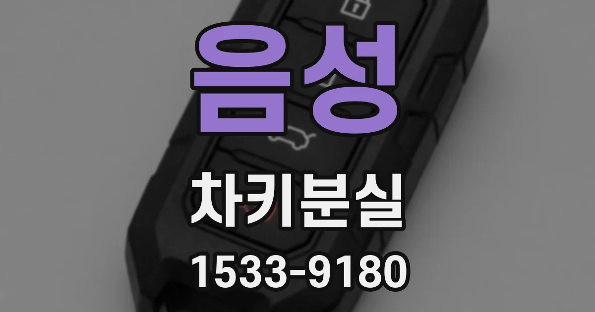 음성 차키분실