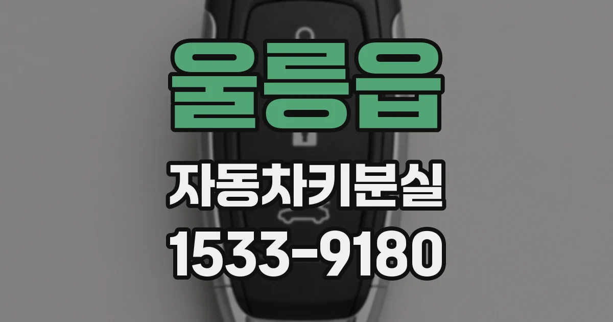 울릉읍 자동차키분실