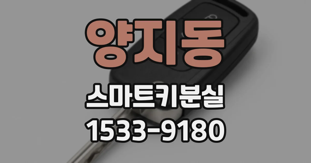 양지동 스마트키분실