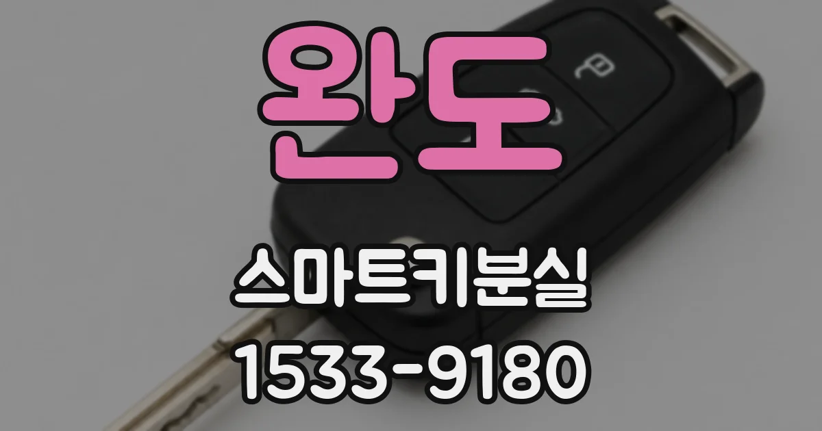 완도 스마트키분실