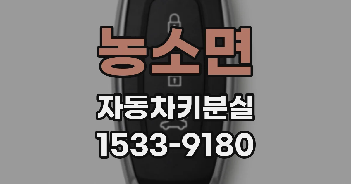 농소면 자동차키분실