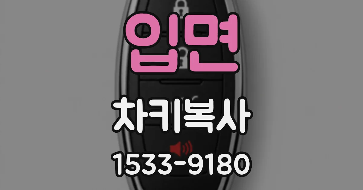 입면 차키복사