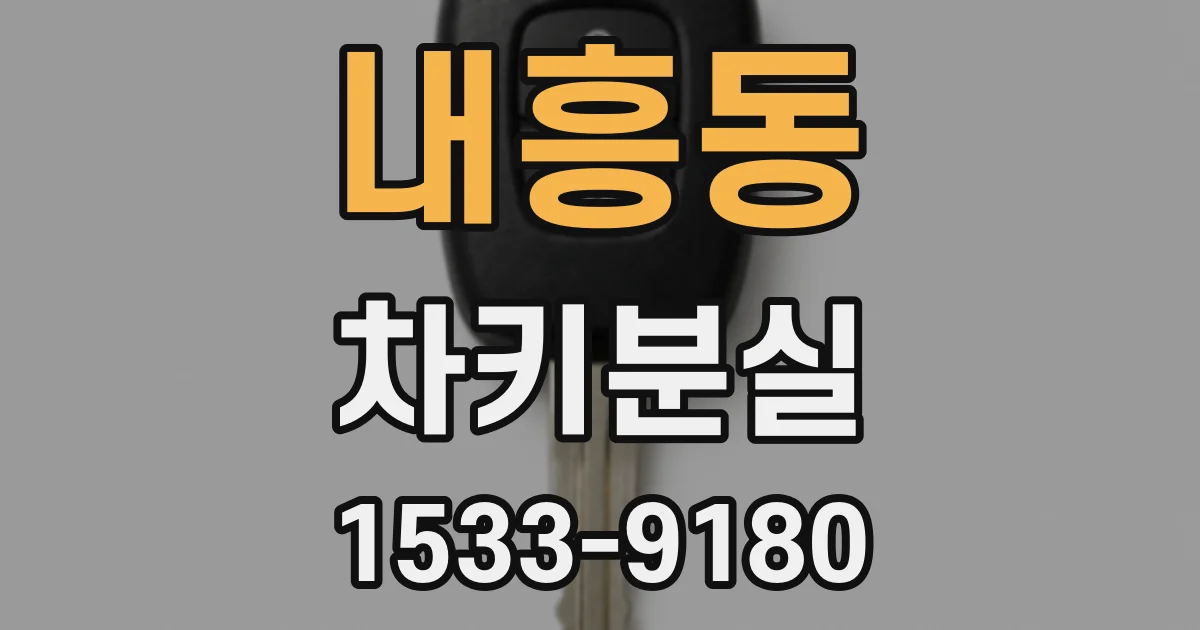내흥동 차키분실