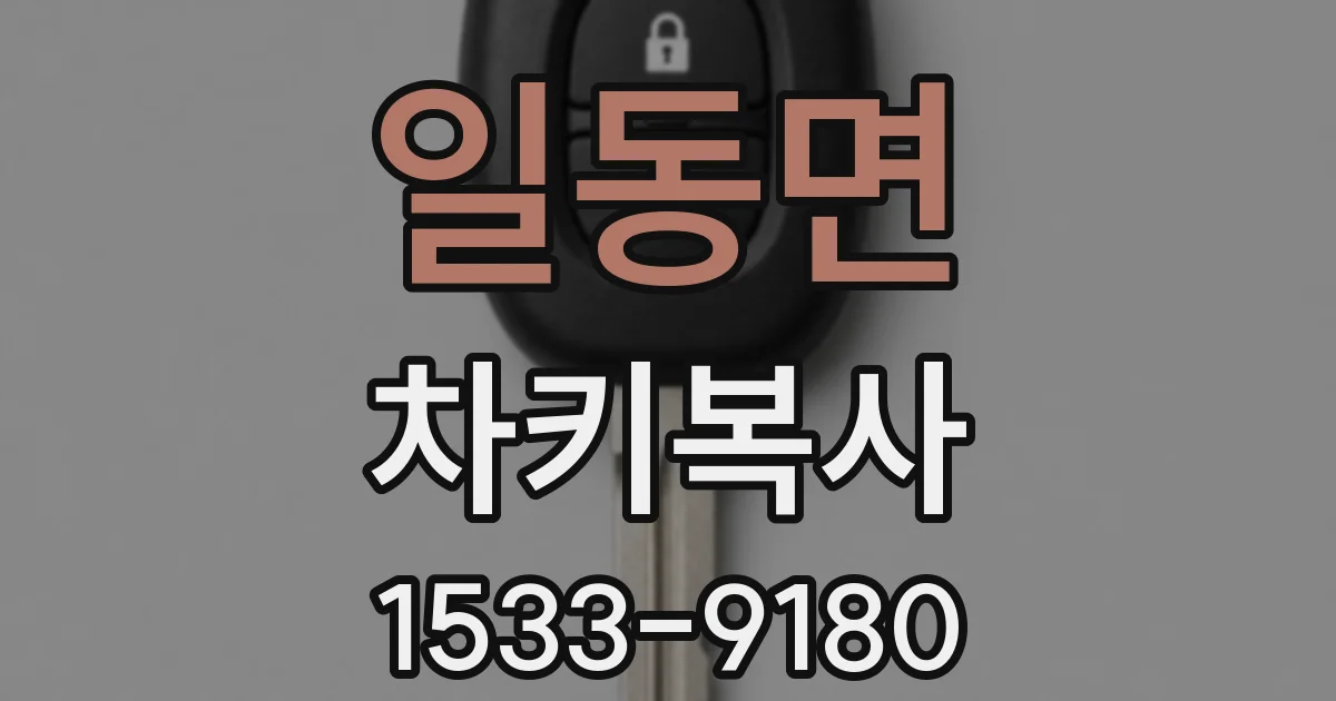 일동면 차키복사