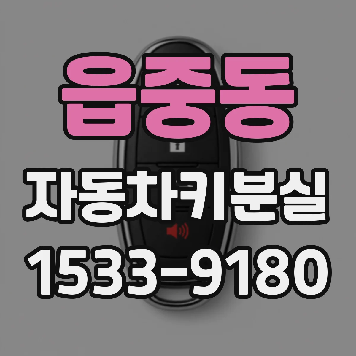 읍중동 자동차키분실