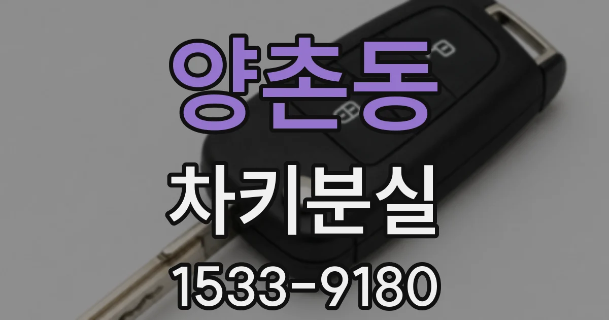 양촌동 차키분실