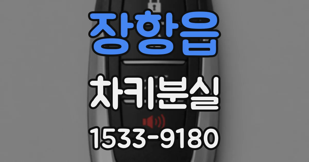 장항읍 차키분실