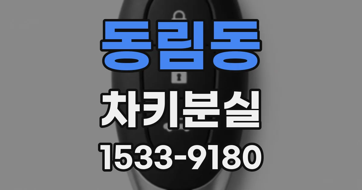 동림동 차키분실