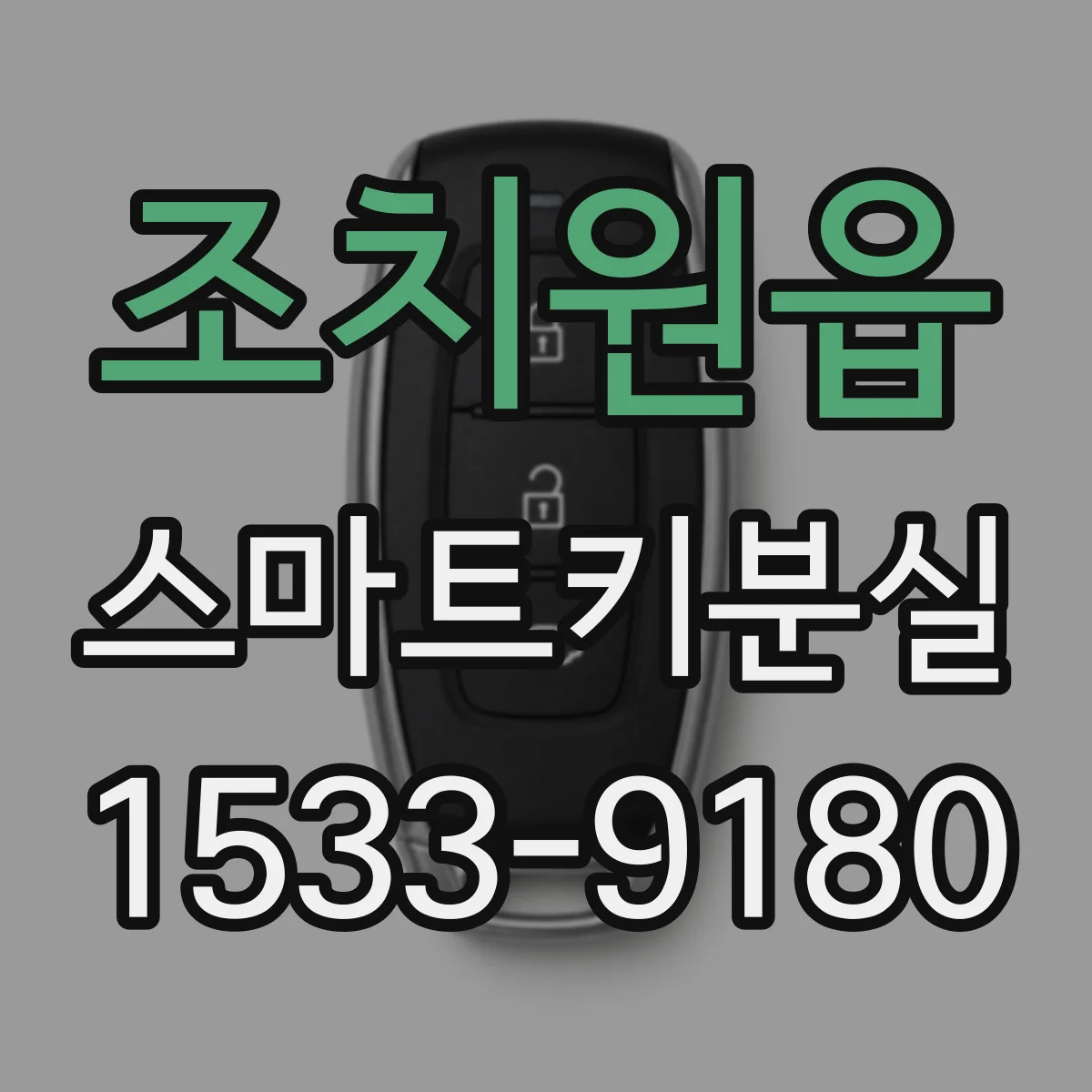 조치원읍 스마트키분실